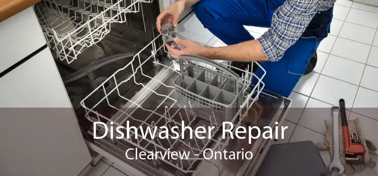Dishwasher Repair Clearview - Ontario
