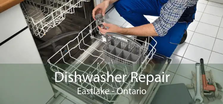 Dishwasher Repair Eastlake - Ontario