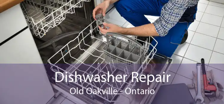 Dishwasher Repair Old Oakville - Ontario