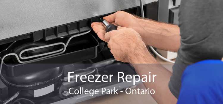 Freezer Repair College Park - Ontario