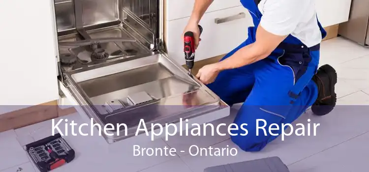 Kitchen Appliances Repair Bronte - Ontario