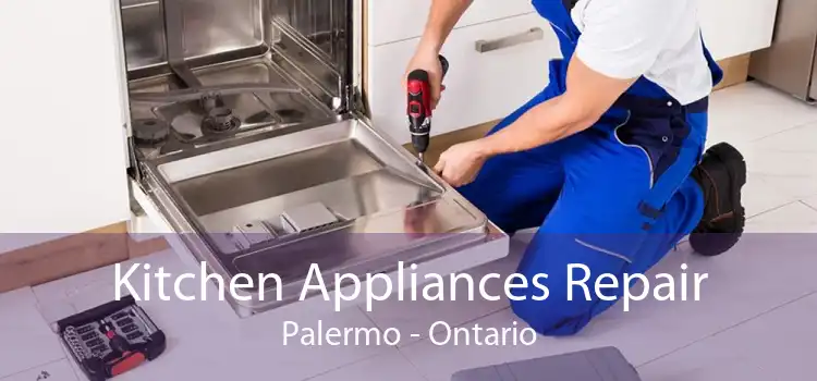 Kitchen Appliances Repair Palermo - Ontario