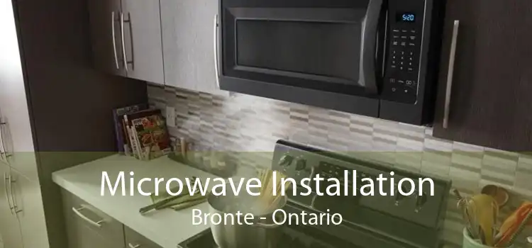 Microwave Installation Bronte - Ontario