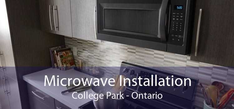 Microwave Installation College Park - Ontario