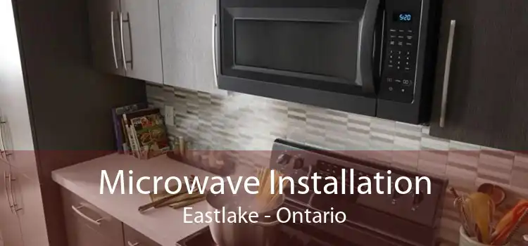 Microwave Installation Eastlake - Ontario