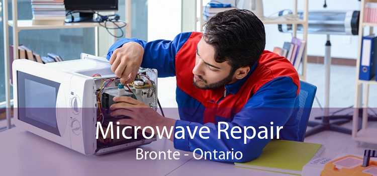 Microwave Repair Bronte - Ontario