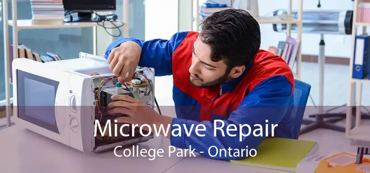 Microwave Repair College Park - Ontario