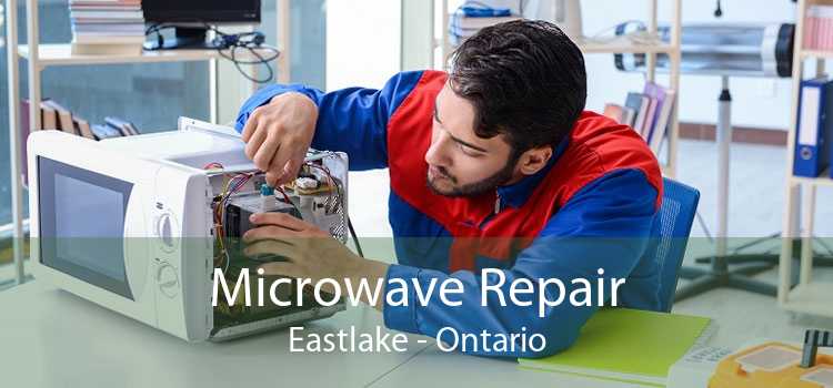 Microwave Repair Eastlake - Ontario