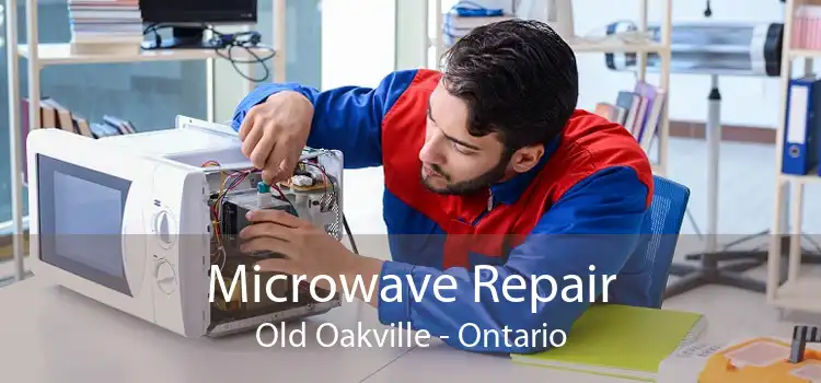 Microwave Repair Old Oakville - Ontario