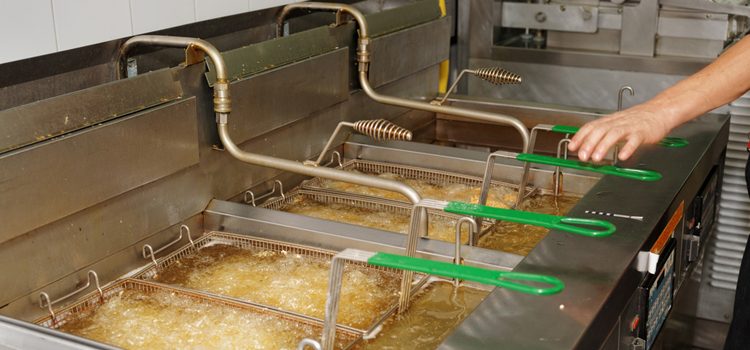 Blomberg Commercial Fryer Repair in Oakville